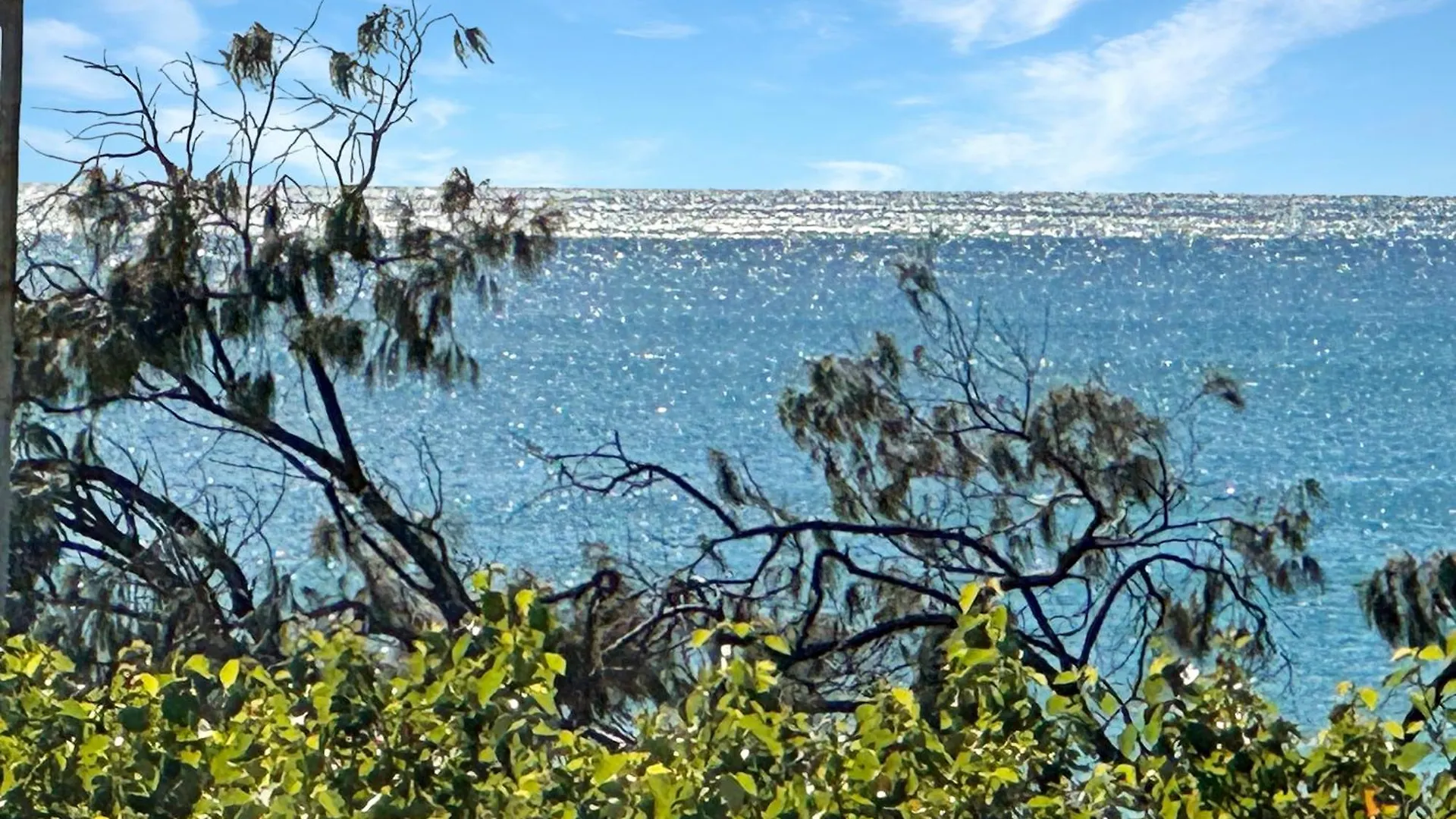 Apartment Unwind In Coastal Resort -1 Bedroom Alexandra Headland